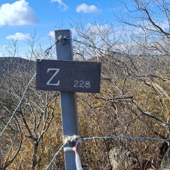 Z!　ロケーション👍