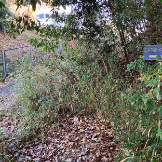 二井寺山登山口まで下りて