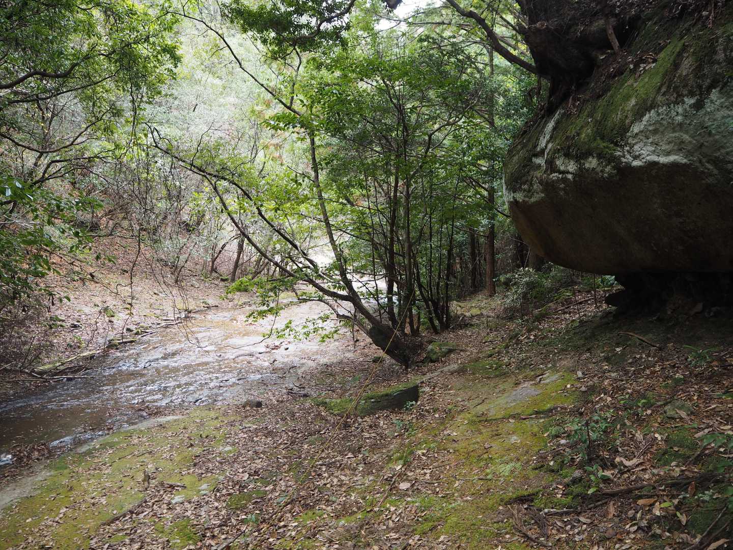 こちらも左が滑床、右は登山道