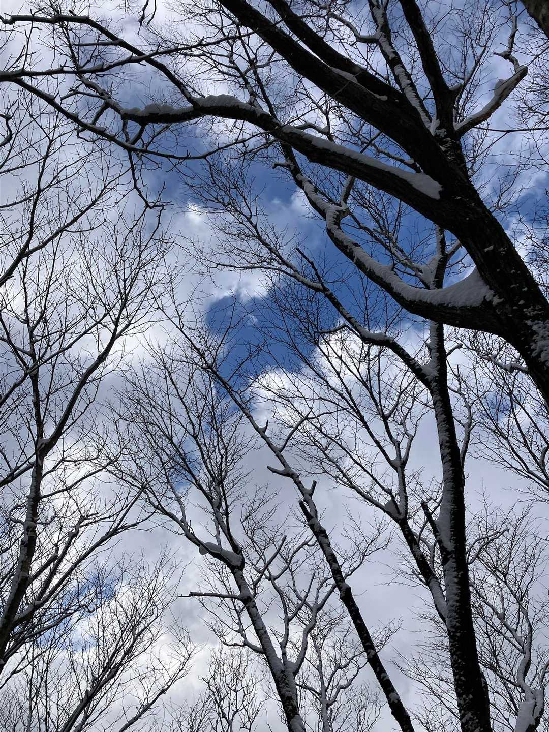 時々青空✨