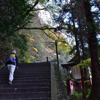 奥の院へとつづいてた😳