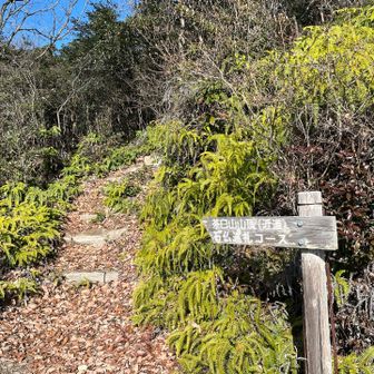 まずは茶臼山へ