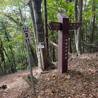 山頂に別れる標識