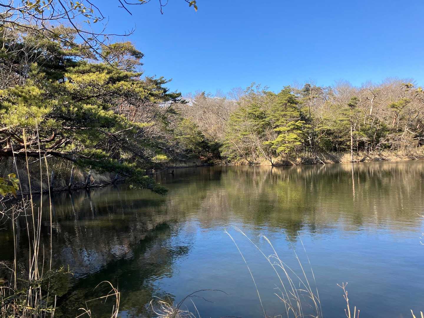 苦楽園コース登山口-ごろごろ岳-観音山 縦走コースの写真