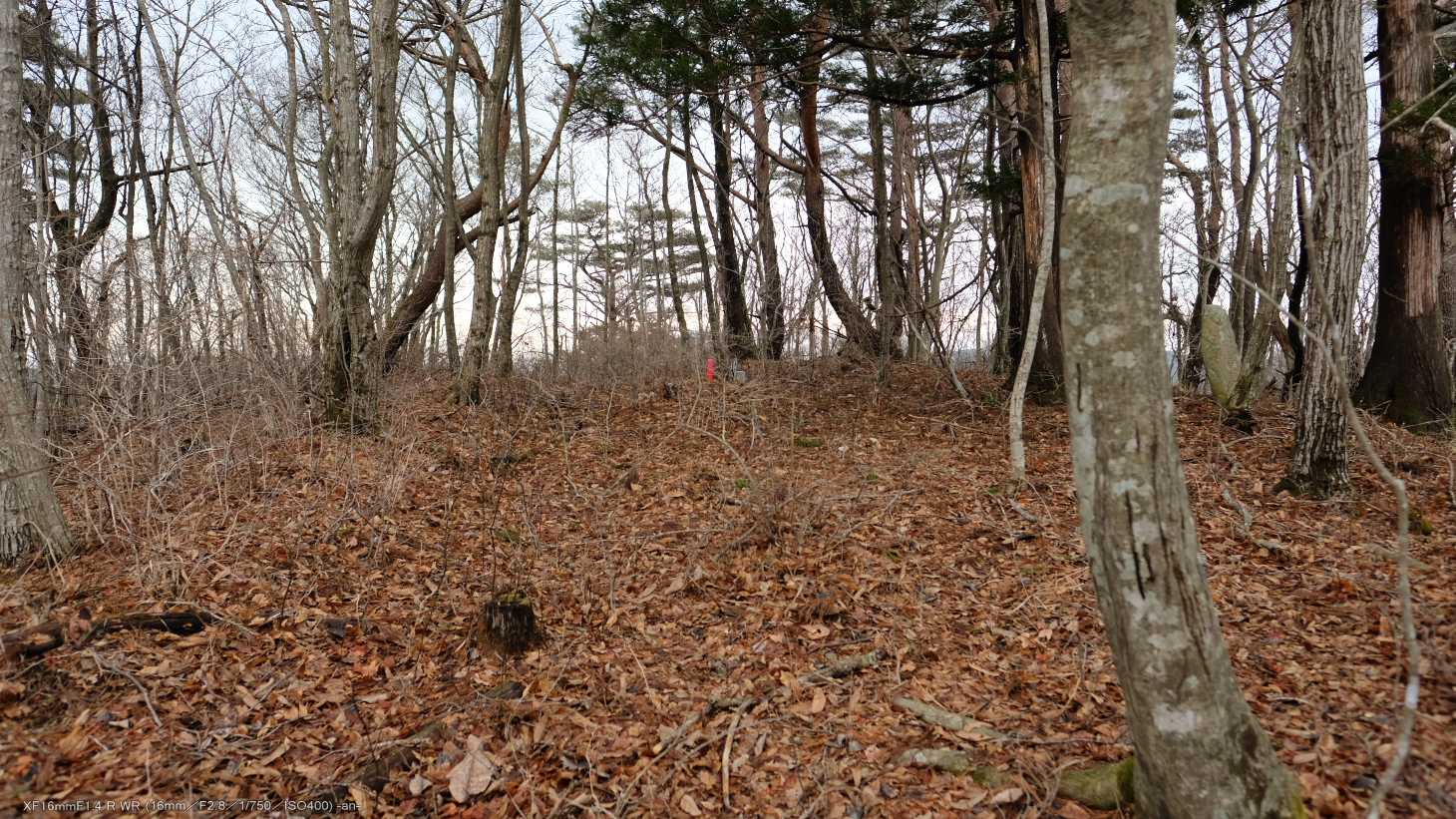 すぐ山頂。