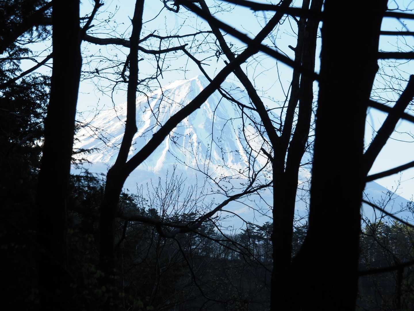 富士山健在！