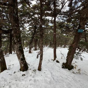 このままの勢いで休まず行く🚶