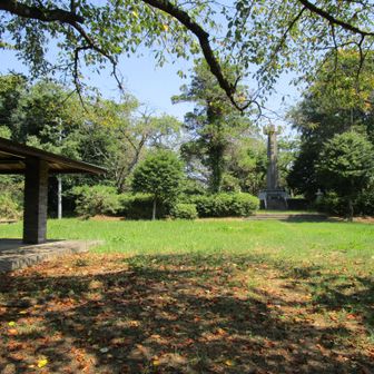 頂上到着
米子城 采女丸跡 (飯山城跡)