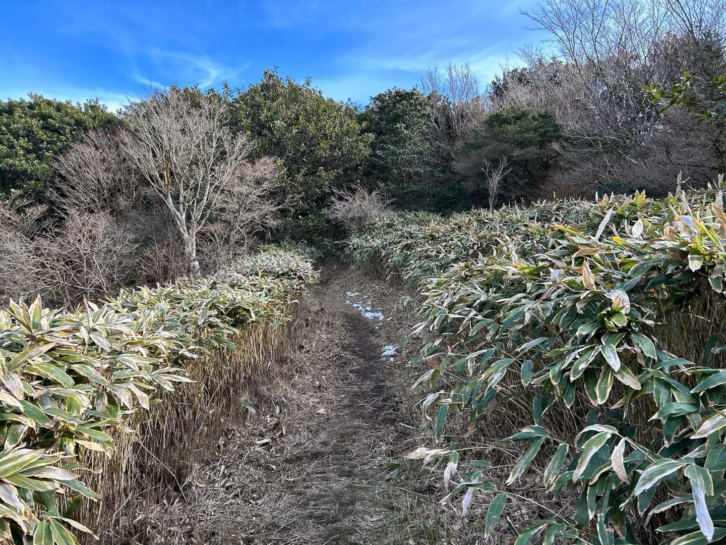 椎原峠-唐人の舞 往復コースの写真