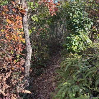 鉄塔から、遠見山へ