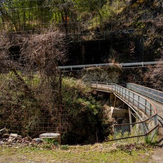 ロードに出ました