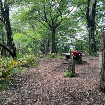 三国山山頂は眺望ないけど
ベンチあります
