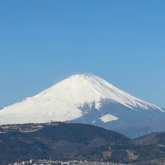レイ