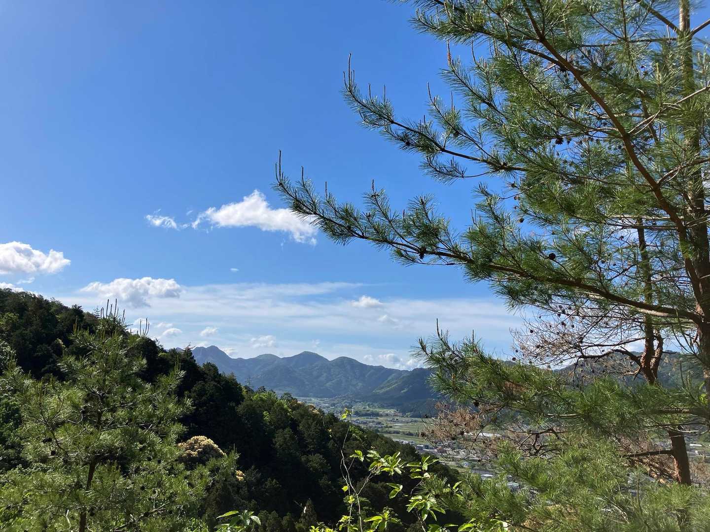 城山 往復コースの写真