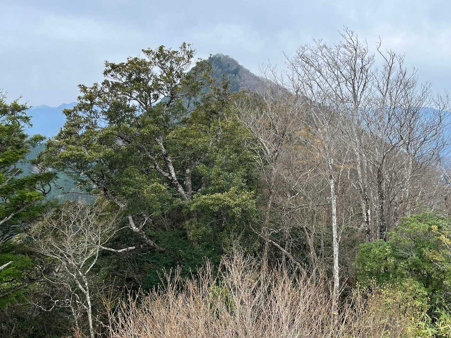雄岳
今日は行かない