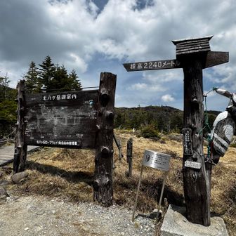 せっかくきたのでよく見る看板まで来ました