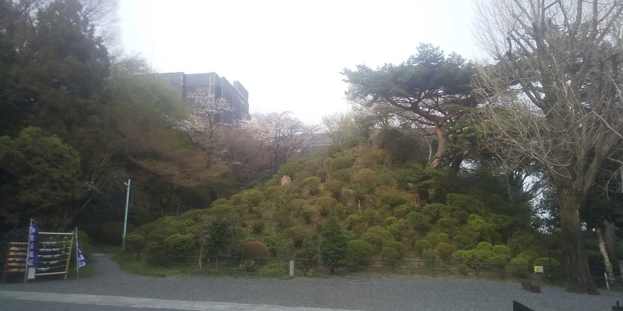 1キロほど歩けば、白子富士🗻❗️