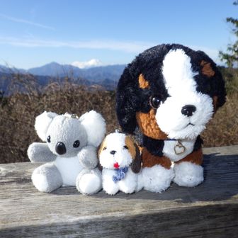 マウンテン・ヴギ