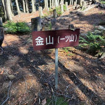 金山(一ツ山)
何故金山と言うのでしょうか？
