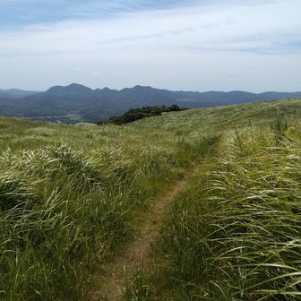 山頂まであと僅か