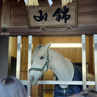 錦山　かわいー