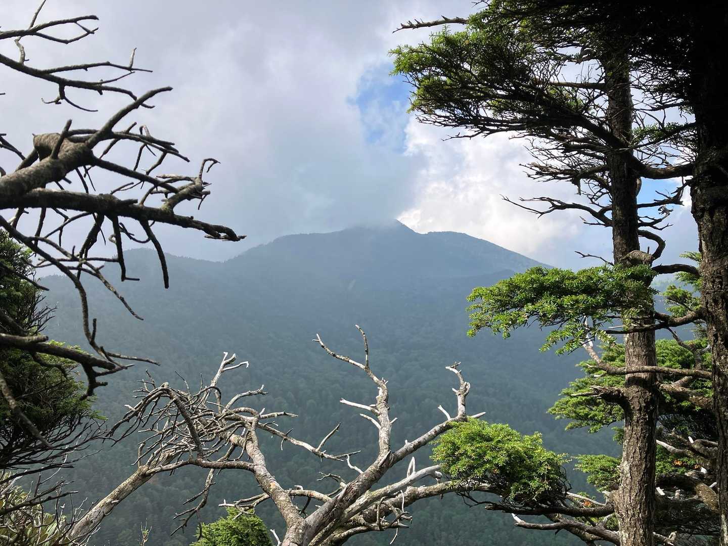 四阿山 往復コースの写真