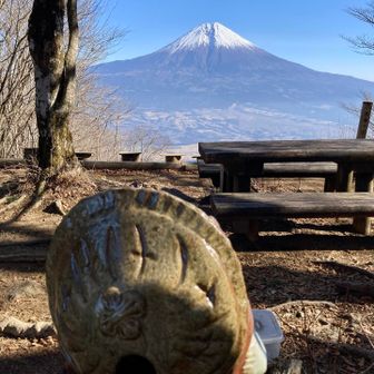 タヌキさんも割れ目見てるんだね😂🤣