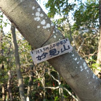 妙見山。⛰️🙌
ここからほしだ園地に登って行きます。🎶🏃
