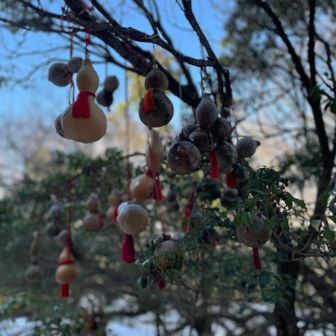 養老山山頂
三角点でか😳って話してたら
これは1級三角点と山友さんが教えてくれました。