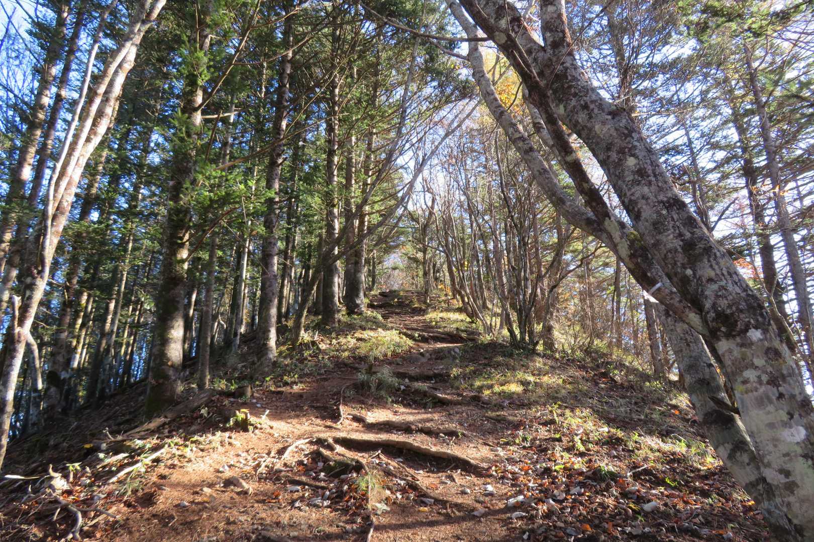 ここから先は登山道。破風山、黒岳に向かって登って行きます↗️