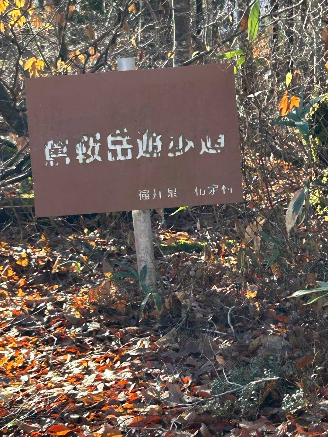 遊歩道というには、かなりな急登です