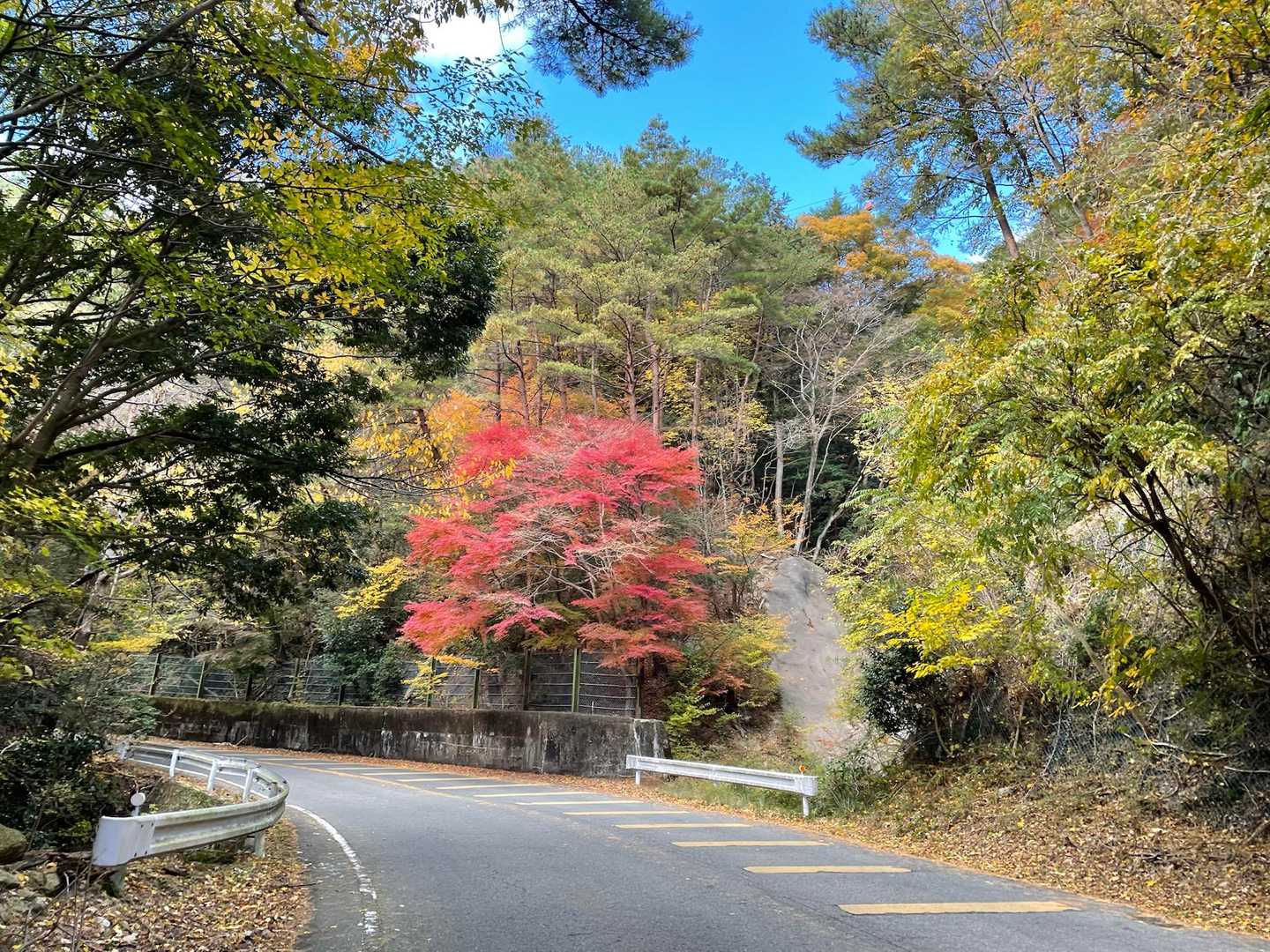 中登山口-御在所岳-国見峠 周回コースの写真