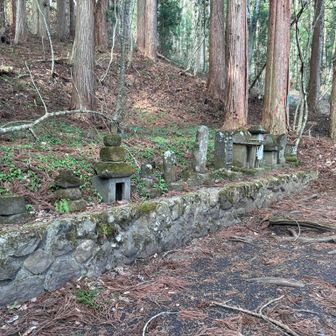 左手の鳥居の奥に地蔵菩薩、⬜︎吾郎大明神、庚申塔、如意輪観音、山の神石祠など。宝暦から文久まで江戸時代のものばかりです。

柔らかな緑の静謐のなかに建ち並ぶ石祠や庚申塔。明治に入って境内に移されたものだという（『戸隠村の石造文化財』）