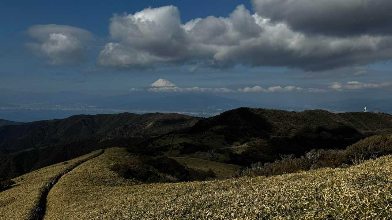 伊豆山陵線トレイル（三蓋山・水呑頭・猫越岳・後藤山・魂の山・棚場山・伽藍山・古稀山・達磨山・小達磨山） の写真 84