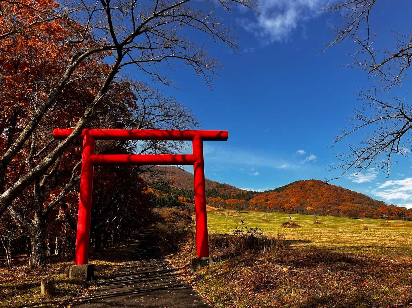 最初の鳥居⛩️から見えた山が赤い🍁名もなき山？スタート時には日差しを浴びて、キレイに見えました☺️