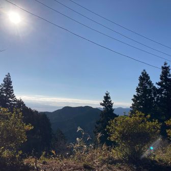 天気サイコー！澄んでます！