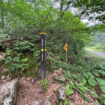 やっと登山口に到着😩