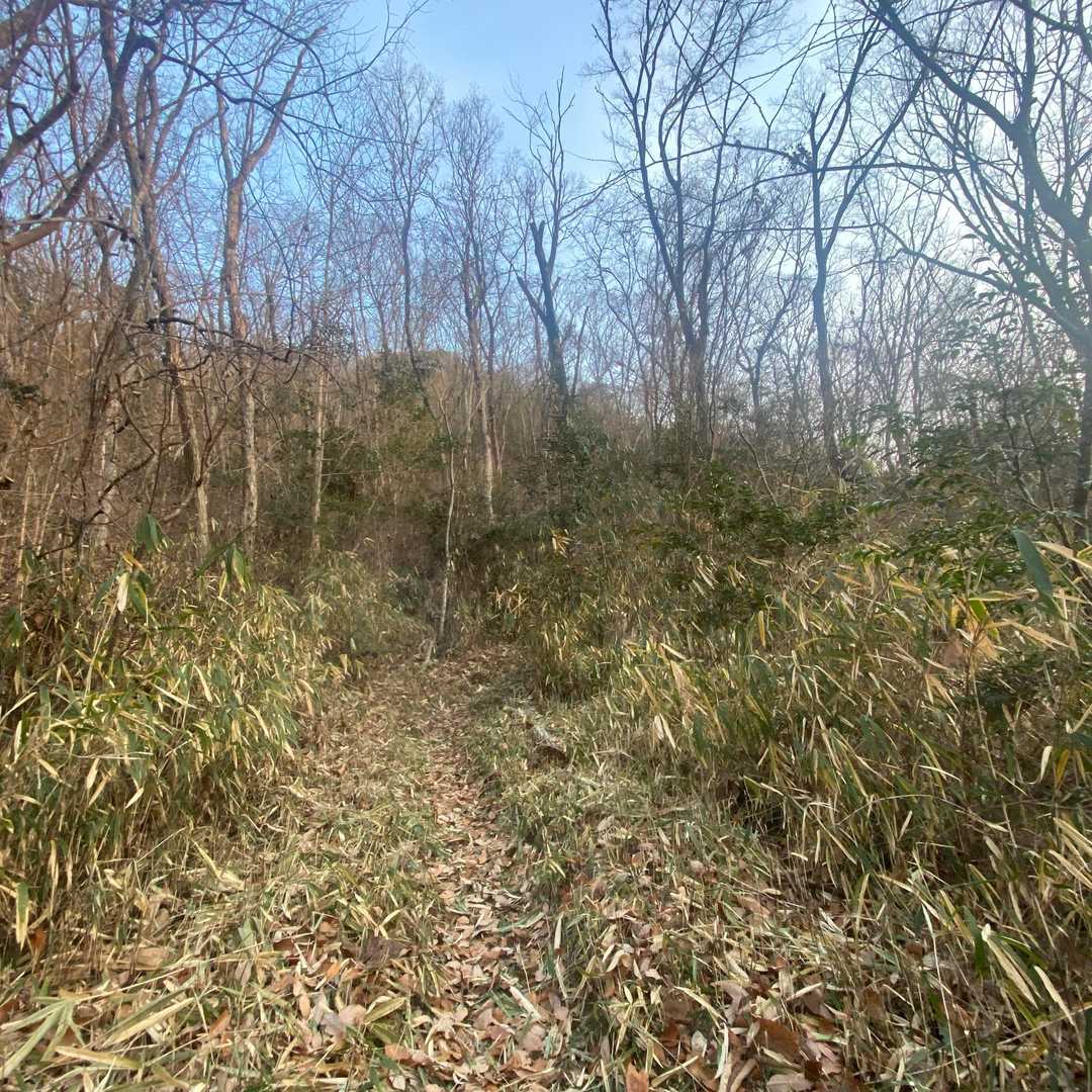 下草の笹も刈られた道
義経道から歩きはじめ
日差しもあり気持ちがいい
朝の冷たい空気に体も目覚める