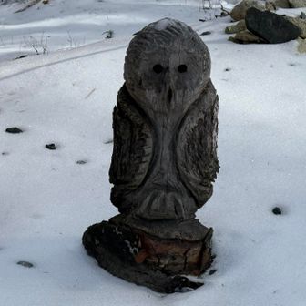 ふくろうさん🦉