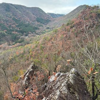 15年ぶりどんぐり山