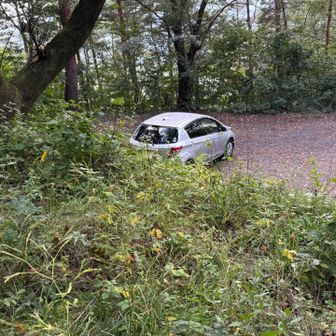 駐車場、ついYAMAP終了させてしまう😓