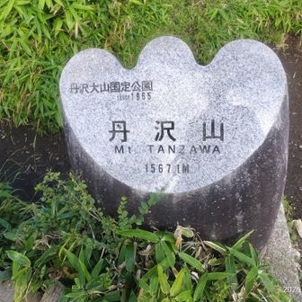 丹沢山山頂に到着。