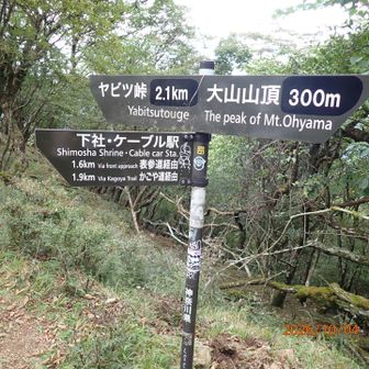 ヤビツ峠からの登山道との合流（二十五丁目/28）