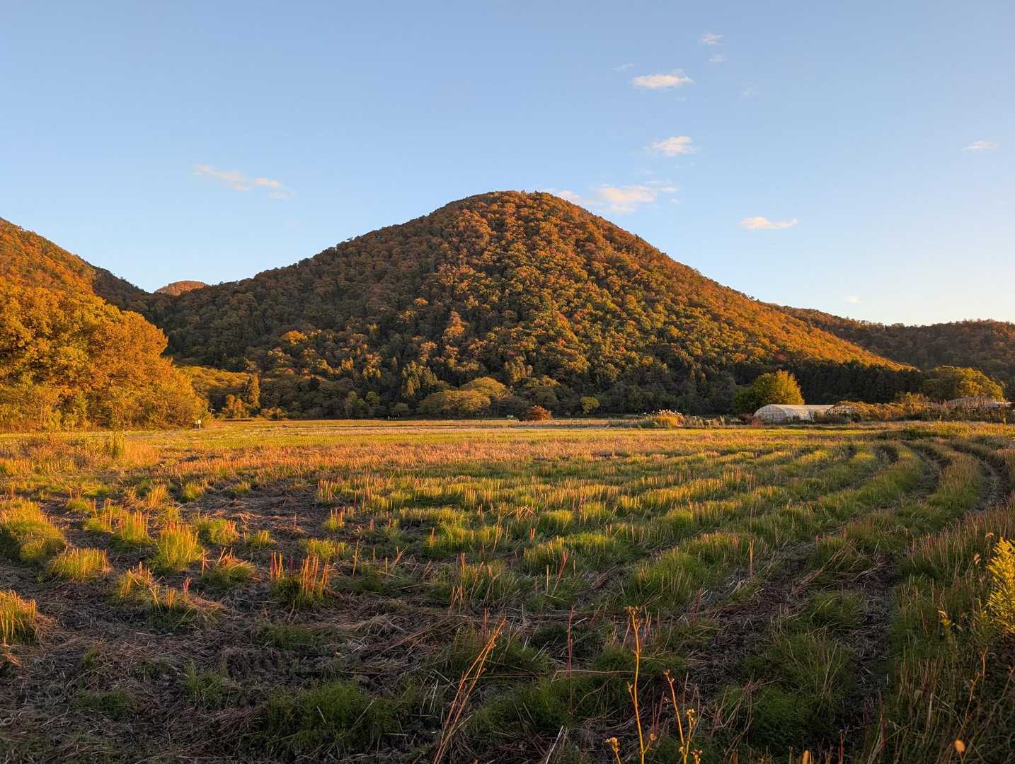 夕焼けに染まる大岡山🍁