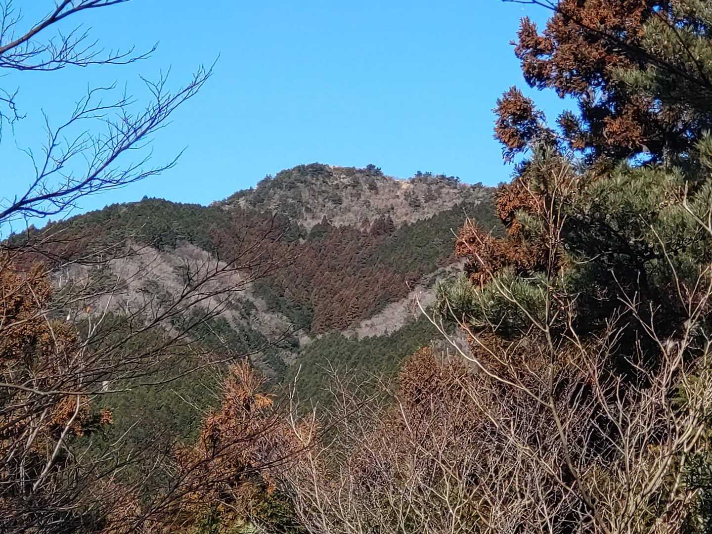 東鳳翩山の山頂ですね！