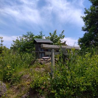 尺岳✨ヤマツツジはほぼ終わり