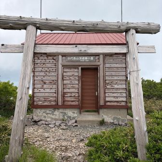 中に入って雨宿りをさせていただきました