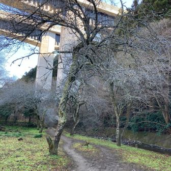 川沿いの道を進みます