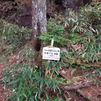 こんな標識あったんですね　見落としてました
ちょとした岩登りが出来るみたいですが　完全にスルーしてしまいました