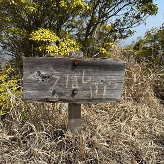 烏帽子山、字が消えてるんやね😲
ここから引き返します。